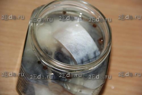 Малосольная скумбрия кусочками в рассоле. 04