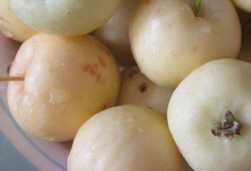 Десерт Яблоки, Запечённые в Сливках. 01 Десерт Яблоки, Запечённые в Сливках. 01