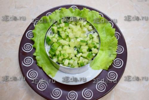 Салат с курицей, черносливом, свежим огурцом и грецкими орехами. 03