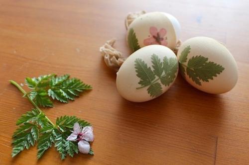 Окрашивание пасхальных яиц с помощью луковой шелухи. 04