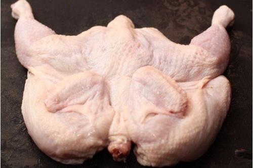 Цыпленок табака (тапака). 02