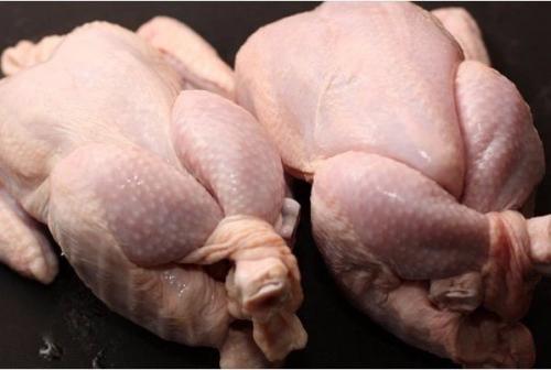 Цыпленок табака (тапака). 01