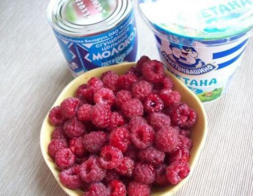 Мороженое из сгущенки, сметаны и малины. 01