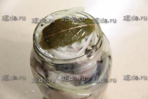 Малосольная скумбрия кусочками в рассоле с луком. 03 Малосольная скумбрия кусочками в рассоле с луком. 03