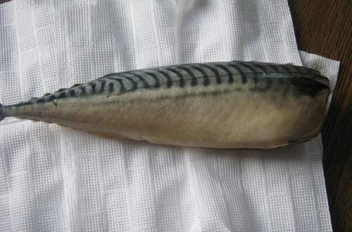 Потрясающая соленая скумбрия. 04 Потрясающая соленая скумбрия. 04