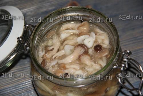 Маринованные вешенки быстрого приготовления в домашних условиях. 05