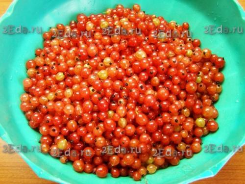 Желе из красной смородины без желатина на зиму. 01 Желе из красной смородины без желатина на зиму. 01