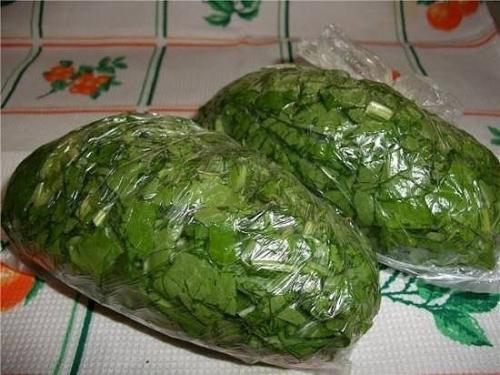 Мы сохраняем овощи и фрукты методом заморозки. 08