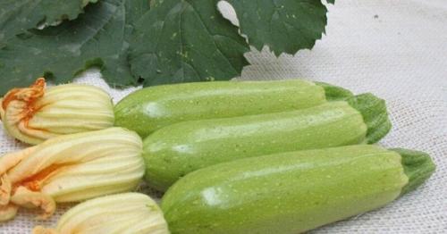 Тонкие блины из кабачков. 01 Тонкие блины из кабачков. 01