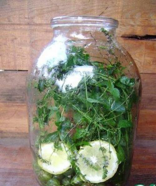 Компот из крыжовника Мохито. 03 Компот из крыжовника Мохито. 03