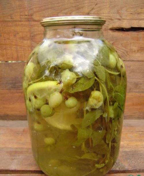 Компот из крыжовника Мохито. 01 Компот из крыжовника Мохито. 01