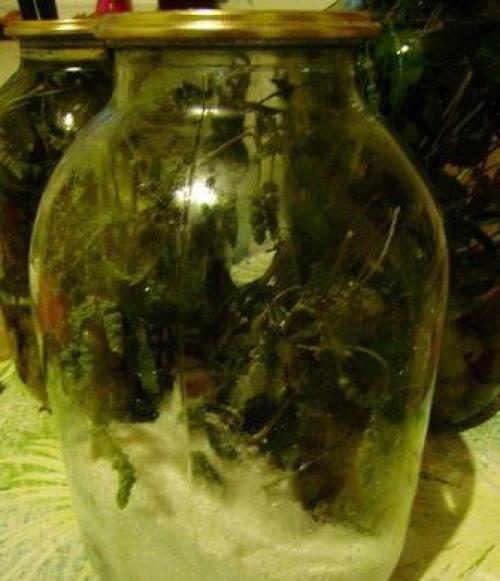 Компот из крыжовника Мохито. 05 Компот из крыжовника Мохито. 05