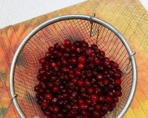 Пирог со сметаной и клюквой. 04 Пирог со сметаной и клюквой. 04