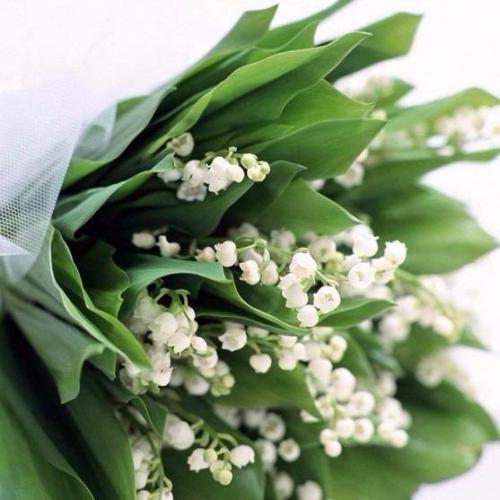 Любовь в сердце, весна на душе и на улице, улыбка на лице и в глазах!