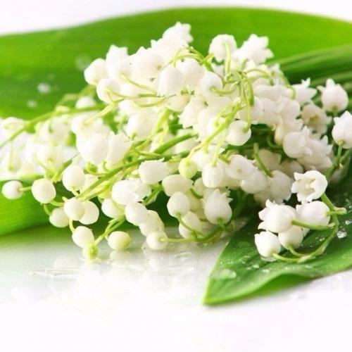 Любовь в сердце, весна на душе и на улице, улыбка на лице и в глазах! 01