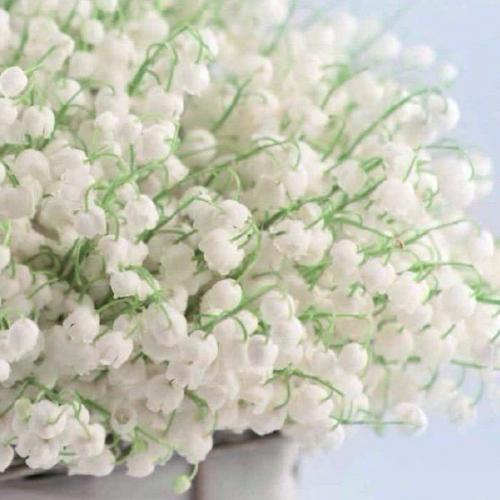 Любовь в сердце, весна на душе и на улице, улыбка на лице и в глазах! 02