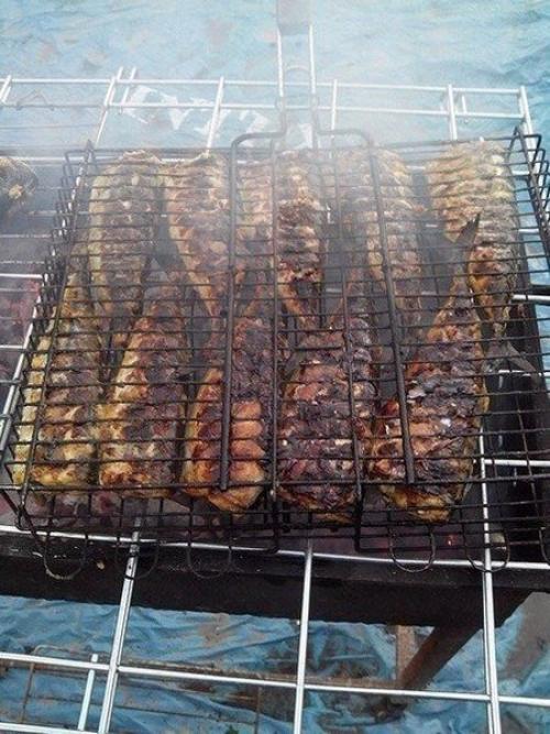 Скумбрия на мангале. 02