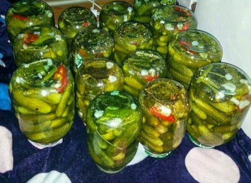 Консервирование огурцов холодной водой. Консервирование огурцов холодной водой.