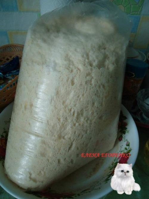 Мое любимое тесто для пирожков.