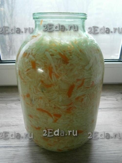 Хрустящая капуста, квашеная в банке. 04 Хрустящая капуста, квашеная в банке. 04