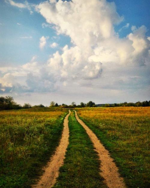 Природа - лучший психолог! 06