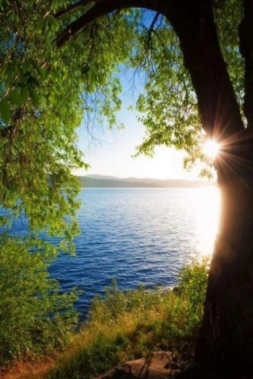 Природа - лучший психолог! 02