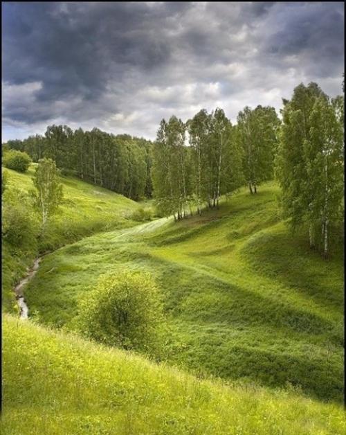 Природа - лучший психолог! 05