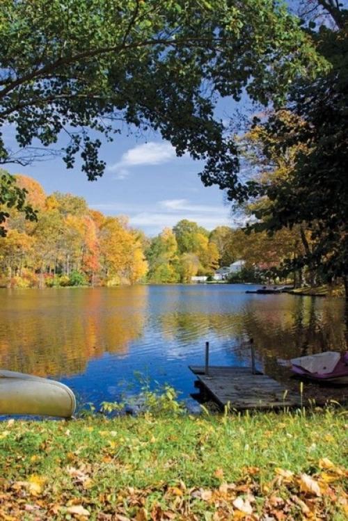 Природа - лучший психолог! 04