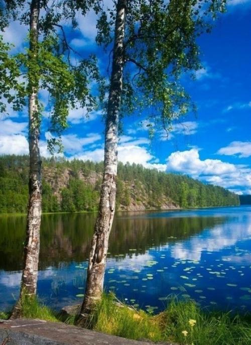 Природа - лучший психолог!