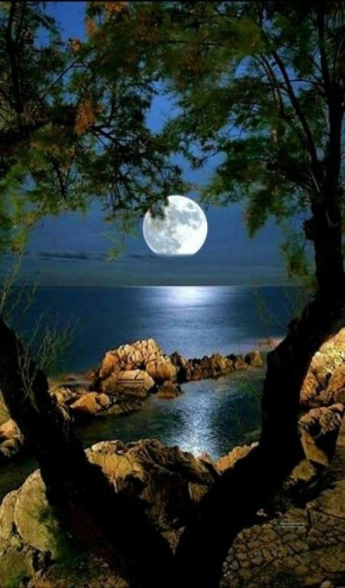 Природа - лучший психолог! 03