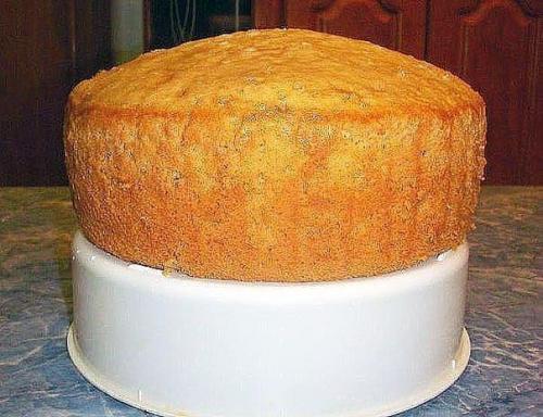 Бисквит на любом лимонаде с газом. 01 Бисквит на любом лимонаде с газом. 01