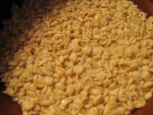 Овсяный хлеб. Этот потрясающе вкусный, ароматный, полезный хлебушек готовится без масла и яиц. 04 Овсяный хлеб. Этот потрясающе вкусный, ароматный, полезный хлебушек готовится без масла и яиц. 04