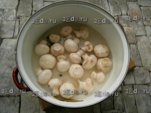 Рецепт маринованных шампиньонов быстрого приготовления. 02