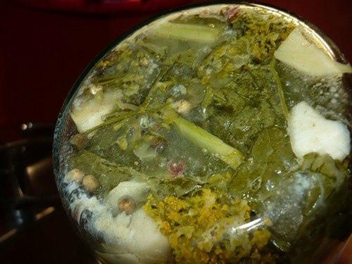 Огурцы из под крана. 02 Огурцы из под крана. 02