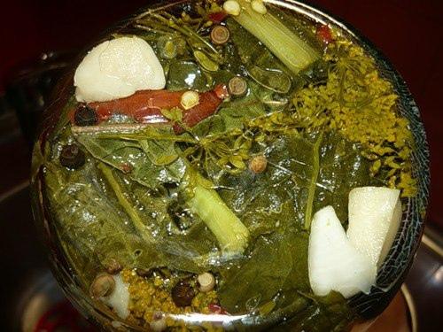 Огурцы из под крана. 03 Огурцы из под крана. 03