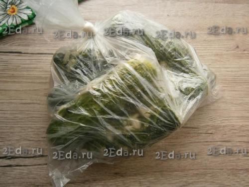 Рецепт малосольных огурцов в целлофановом пакете. 04