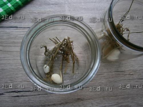 Кабачки, маринованные с чесноком на зиму. 01