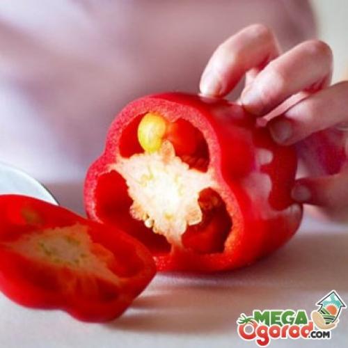 Красный сладкий перец польза и вред. Применение перца в медицине, кулинарии, косметологии