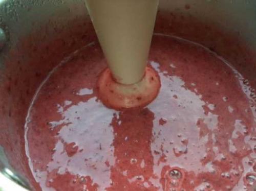 Консервированная слива в сиропе рецепты на зиму. Консервированные сливы на зиму - 6 рецептов