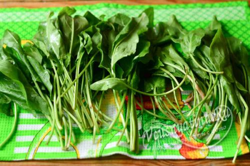 Как заготовить на зиму щавель можно ли его заморозить. Заморозка щавеля в пакетах в морозилке на зиму