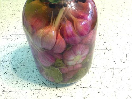 Рецепт как мариновать чеснок в домашних условиях