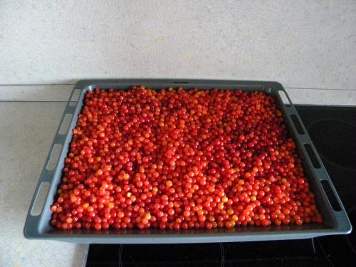 Калина с сахаром в блендере. Калина протертая с сахаром. Мой фирменный рецепт.