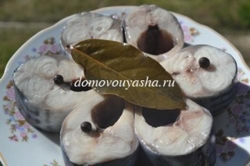 Скумбрия в пряном рассоле рецепт. Рецепт скумбрии пряного посола. Вкусная слабосоленая скумбрия