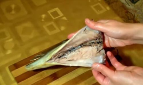 Скумбрия сухого посола с луком. Рецепт засолки скумбрии сухим способом в пакете