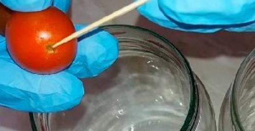 Помидоры под снегом с чесноком на зиму на 1-литровую банку. Помидоры в снегу с чесноком на зиму в литровых банках без стерилизации