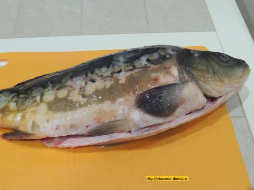 Карп в духовке с морковью и луком. Карп фаршированный целиком морковью, луком и приготовленный в духовке