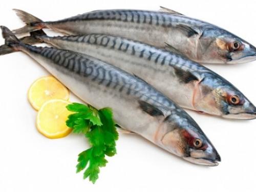 Как быстро и вкусно засолить скумбрию дома. Скумбрия соленая в домашних условиях очень вкусная
