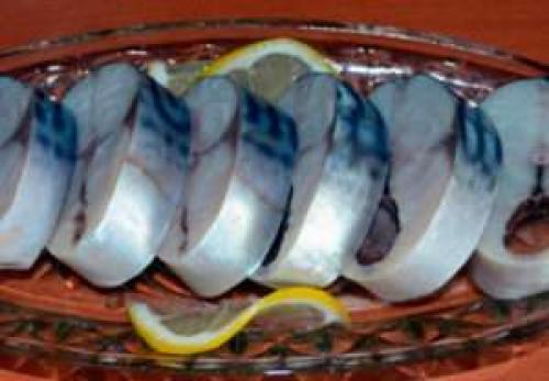 Как засолить скумбрию в домашних условиях вкусно без рассола. Как засолить скумбрию без рассола