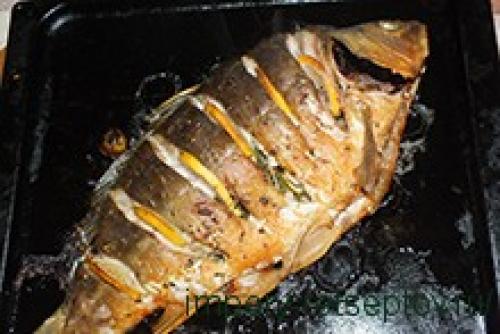 Карп запеченный с овощами и лимоном. Рецепт карпа запеченного в духовке с зеленью и лимоном