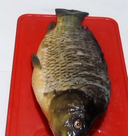 Карп в духовке со сметаной. Карп запеченный в сметане в духовке рецепт